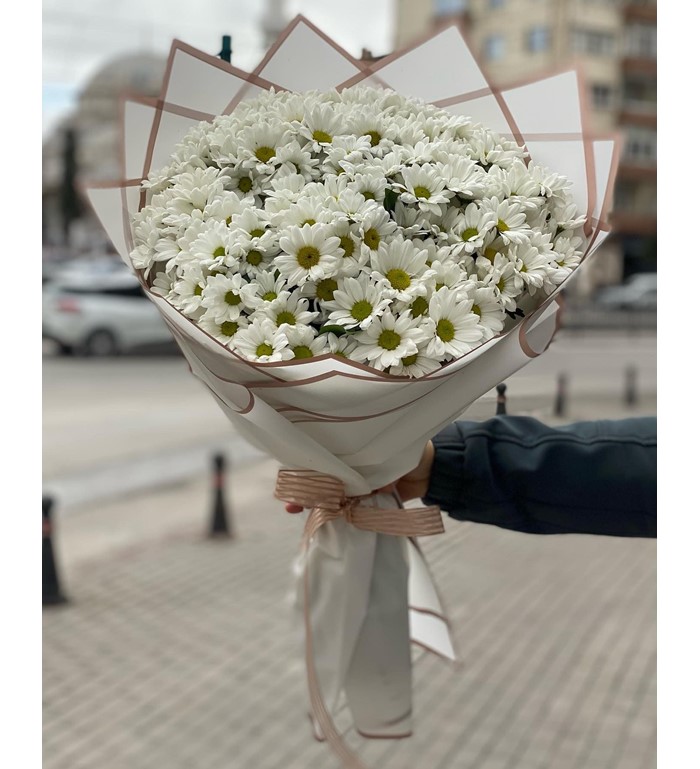 Papatyaların Büyüsü