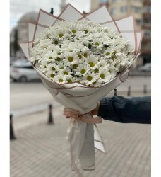 Papatyaların Büyüsü