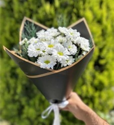 Hoş Kokulu Aşk Çiçeği